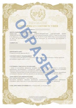 Образец Сертификат СТО 01.064.00220722.2-2020 Касимов Сертификат СТО 01.064.00220722.2-2020 